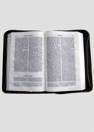 Standardbibel Kunstleder, Blindschnitt, incl. schwarzer Bibelhülle, Leder