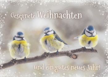 *Postkarte „Weihnachten – 2“