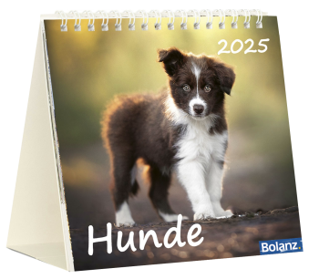 *Hunde, 2025