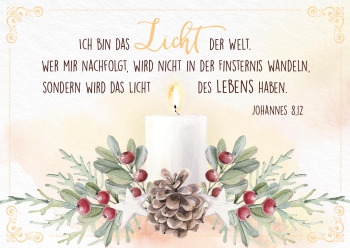 *Postkartenbox „Frohe Weihnachtszeit“