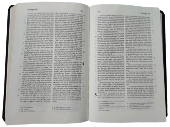 Standardbibel, Leder, schwarz, Goldschnitt