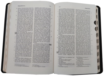 Standardbibel, Leder, schwarz, Goldschnitt mit Griffregister