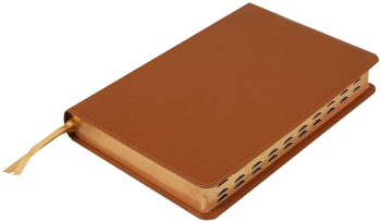 Standardbibel, Leder, hellbraun, Rotgoldschnitt mit Griffregister