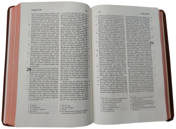 Standardbibel, Leder, hellbraun, Rotgoldschnitt