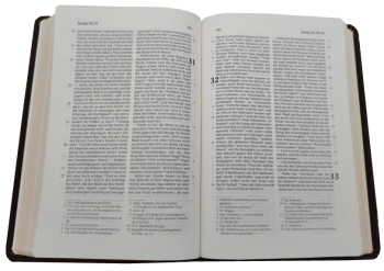 Standardbibel, Premium-Rindleder dunkelbraun, Goldschnitt