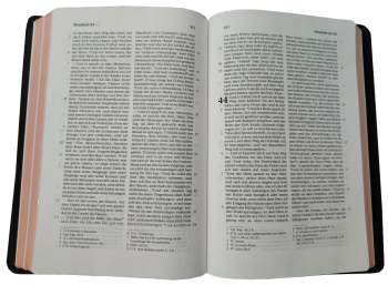 Standardbibel, Leder, dunkelbraun, Rotgoldschnitt