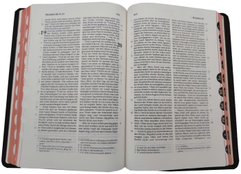 Standardbibel, Leder, dunkelbraun mit Griffregister