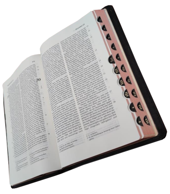 Standardbibel, Leder, dunkelbraun mit Griffregister