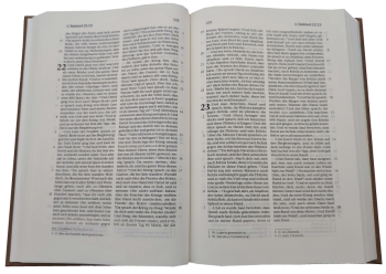 Standardbibel, Leinen, sandbraun