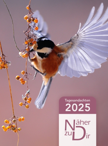 *Näher zu Dir 2025, Buch