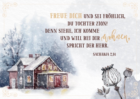 *Postkartenbox „Frohe Weihnachtszeit“