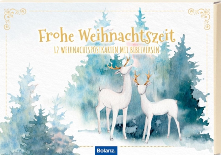 *Postkartenbox „Frohe Weihnachtszeit“