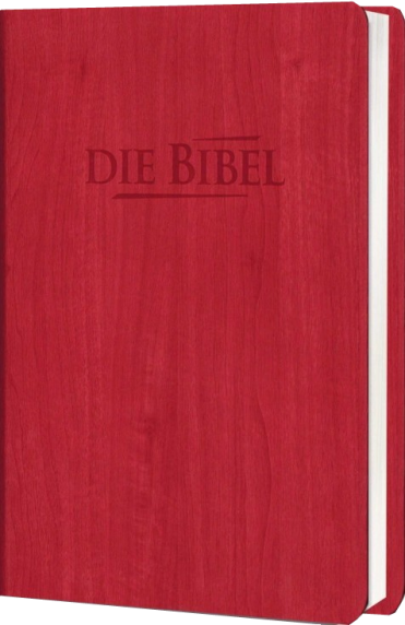 *Taschenbibel größere Ausgabe, Kunstleder, rot