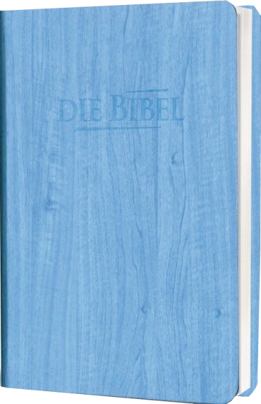 *Taschenbibel größere Ausgabe, Kunstleder, blau