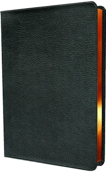 Standardbibel, Leder, schwarz, Rotgoldschnitt - Premium