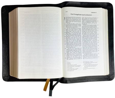 Standardbibel, Leder, schwarz, Goldschnitt mit Notizseiten, Schutzklappen