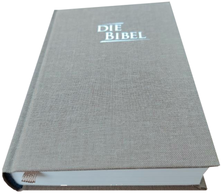 *Pocketbibel, Leinen, sandbraun