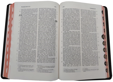 Standardbibel, Leder, dunkelbraun mit Griffregister