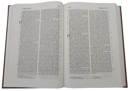 Standardbibel, Leinen, sandbraun