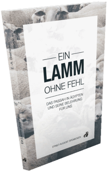 Ein Lamm ohne Fehl