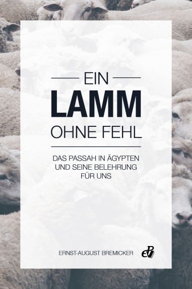 Ein Lamm ohne Fehl