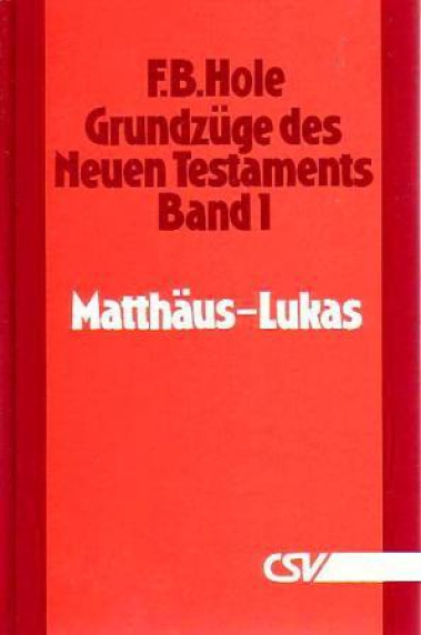 *Matthäus – Lukas (Grundzüge des NT Band 1)