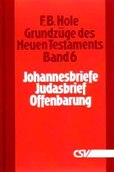 *1. Johannes – Offenbarung (Grundzüge des NT, Band 6)