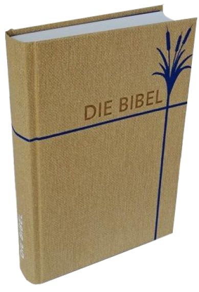 *Taschenbibel größere Ausgabe, Strukturpapier, natur